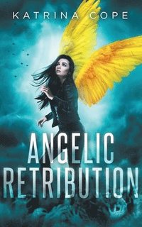 bokomslag Angelic Retribution