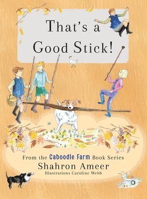 That's a Good Stick!