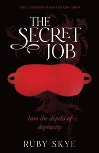 bokomslag Secret Job