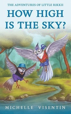 Michelle Visentin - How High is the Sky?, Häftad