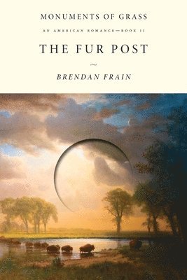 bokomslag The Fur Post