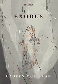 bokomslag Exodus