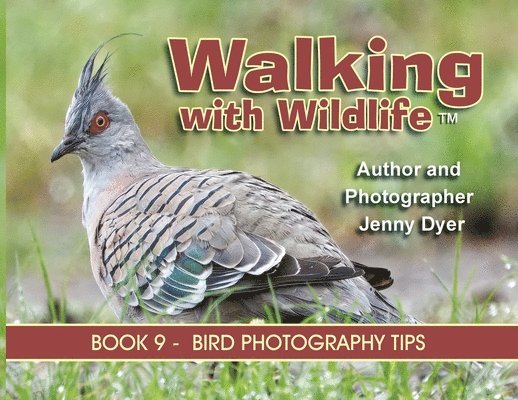 Walking With Wildlife - Book 9