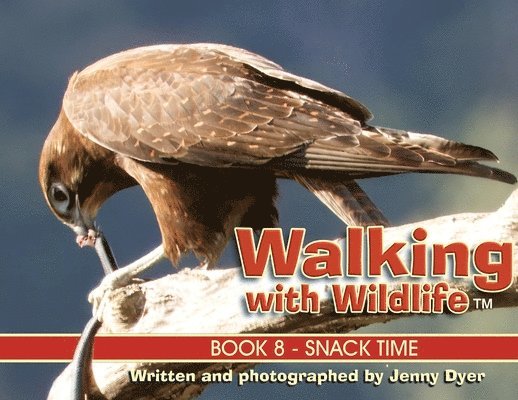 Jenny Dyer - Walking with Wildlife - Book 8, Häftad