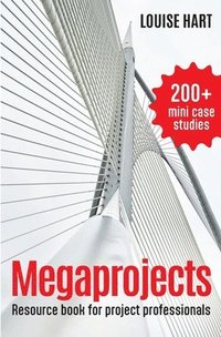 bokomslag Megaprojects