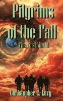 bokomslag Pilgrims of the Fall