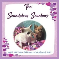 bokomslag Scandalous Scanlan's