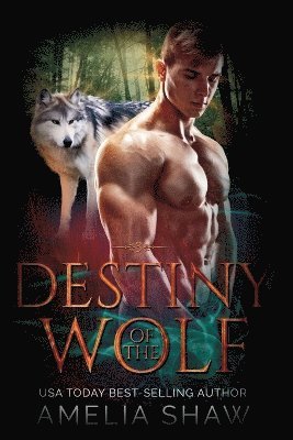bokomslag Destiny of the Wolf