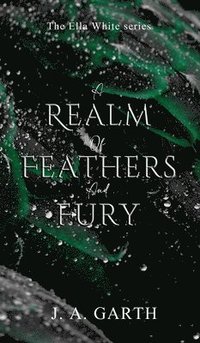 bokomslag Realm of Feathers and Fury