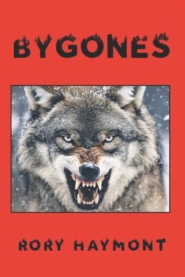 bokomslag Bygones