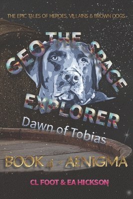 Geo the Space Explorer: Book 4 Aenigma