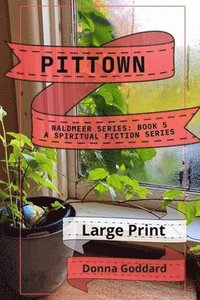 bokomslag Pittown: A Spiritual Fiction Series Large Print