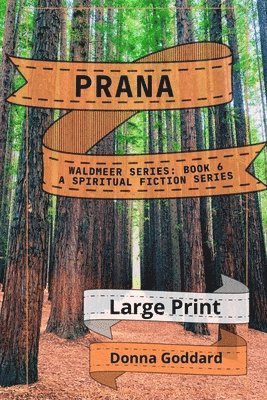 bokomslag Prana: A Spiritual Fiction Series Large Print