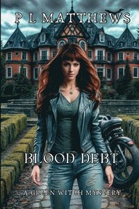 bokomslag Blood Debt