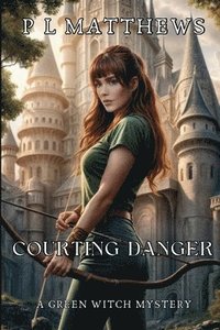 bokomslag Courting Danger