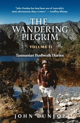 bokomslag Wandering Pilgrim