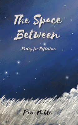 Pam Noble - Space Between, Häftad