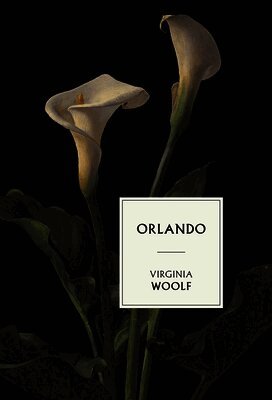 Virginia Woolf - Orlando, Inbunden