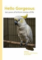 Claire Bell, Esther Cremona, Julia Archer - Hello Gorgeous; ten years of brilliant stories of life, Häftad