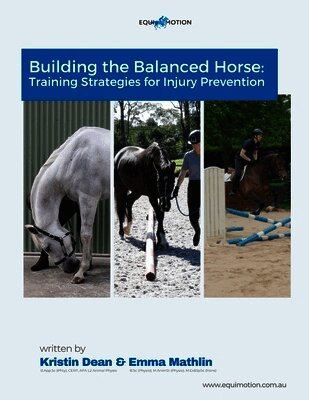 Building The Balanced Horse