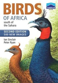 bokomslag Chamberlain's Birds of Africa south of the Sahara