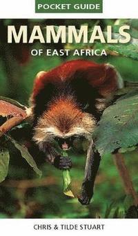 bokomslag Pocket Guide to Mammals of East Africa