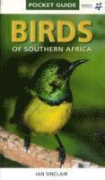 bokomslag Pocket Guide Birds of Southern Africa