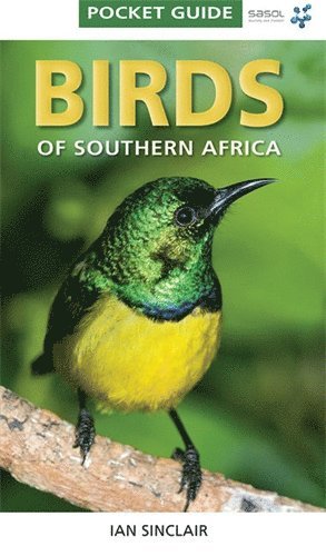 bokomslag Pocket Guide Birds of Southern Africa