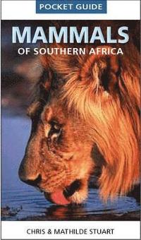 bokomslag Pocket Guide Mammals of Southern Africa