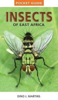 bokomslag Pocket Guide Insects of East Africa