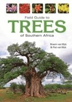 bokomslag Field Guide to Trees of Southern Africa