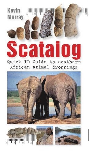 bokomslag Scatalog