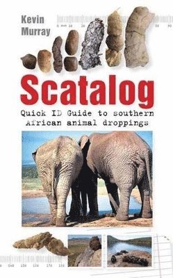 Scatalog 1