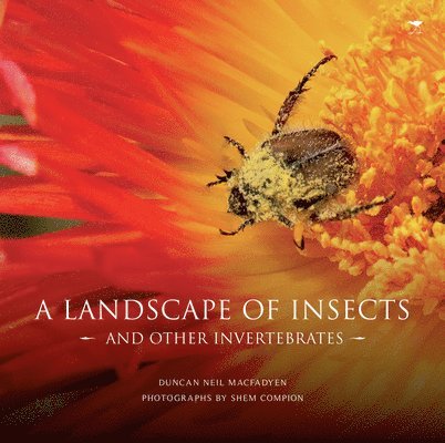 A landscape of insects and other invertebrates 1