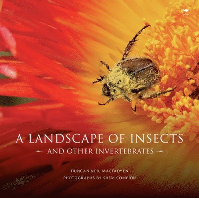 landscape of insects and other invertebrates