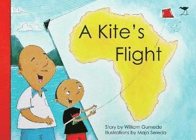 bokomslag A Kite's Flight