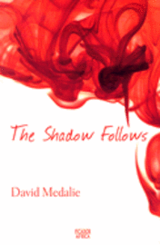 bokomslag The Shadow Follows