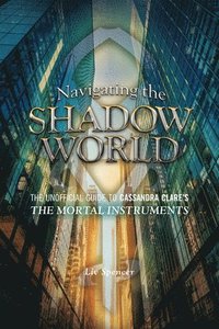 bokomslag Navigating the Shadow World