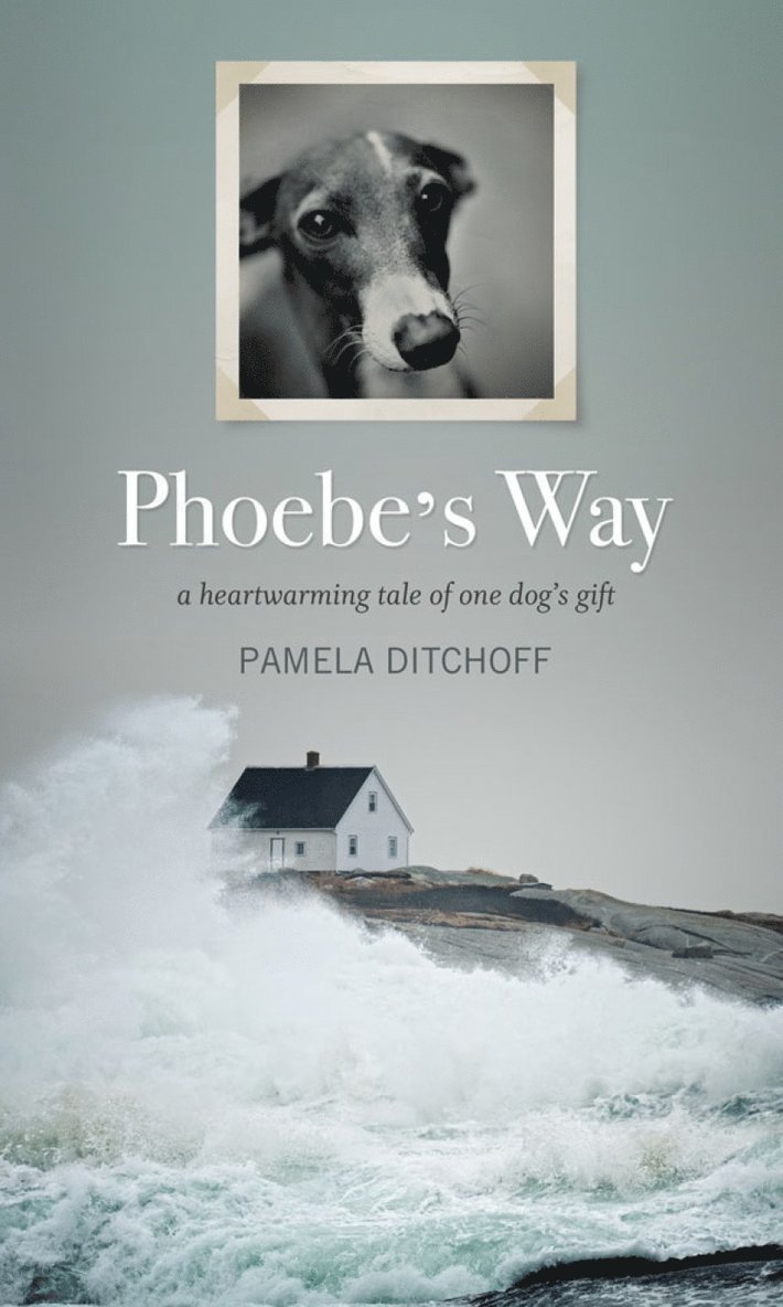 Pamela Ditchoff - Phoebe's Way, Inbunden