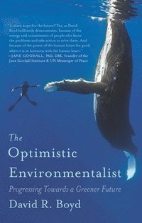 bokomslag The Optimistic Environmentalist