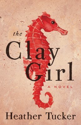 Heather Tucker - The Clay Girl, Häftad