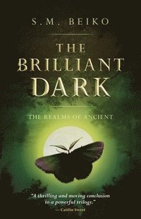 bokomslag Brilliant Dark