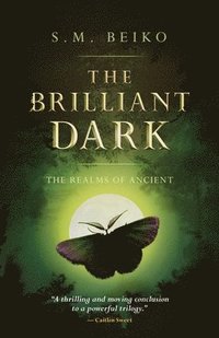 bokomslag The Brilliant Dark