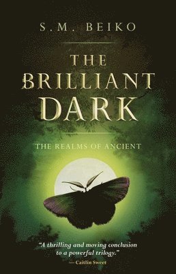 bokomslag Brilliant Dark