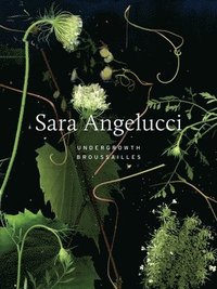 bokomslag Sara Angelucci: Undergrowth / Brousailles