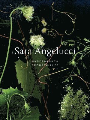 Sara Angelucci, Shannon Anderson - Sara Angelucci: Undergrowth / Brousailles, Inbunden