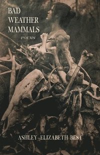 bokomslag Bad Weather Mammals