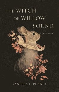 bokomslag Witch of Willow Sound