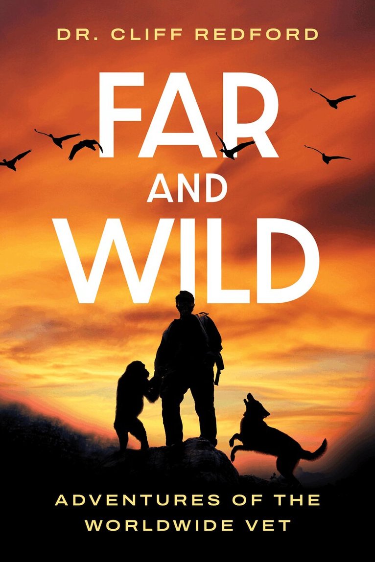 Cliff Redford - Far and Wild, Häftad
