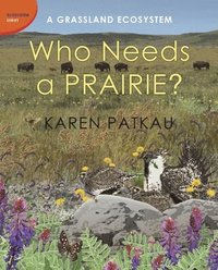 bokomslag Who Needs a Prairie?
